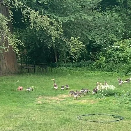 Holiday home La Boheme