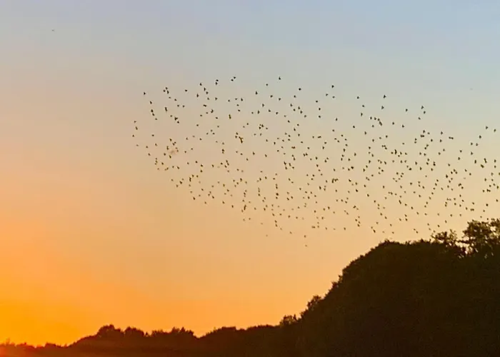 La Boheme 펜션 Groß Köris