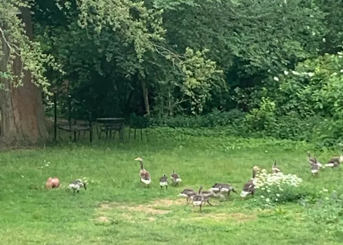 Сasa de vacaciones La Boheme